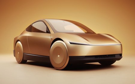 The Rise of the Robotaxi Owner: A Lucrative New Business in Texas